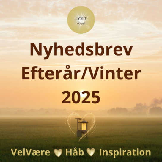 Nyhedsbrev Efterår/Vinter 2025