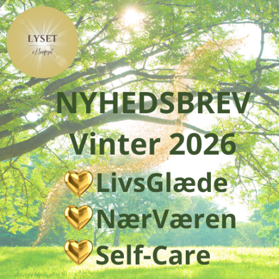 Nyhedsbrev Vinter 2026
